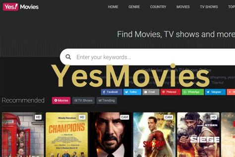 yesmovie person n2